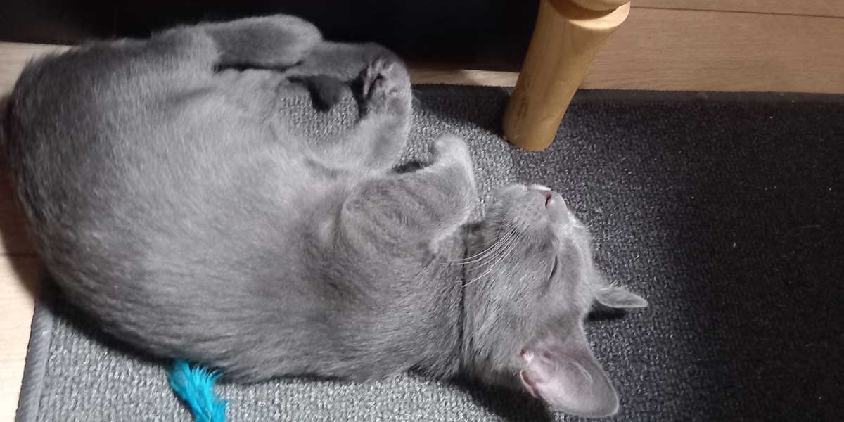 Stałem się większy i cięższy. Dorastam!